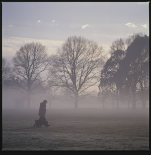 Winter Dawn